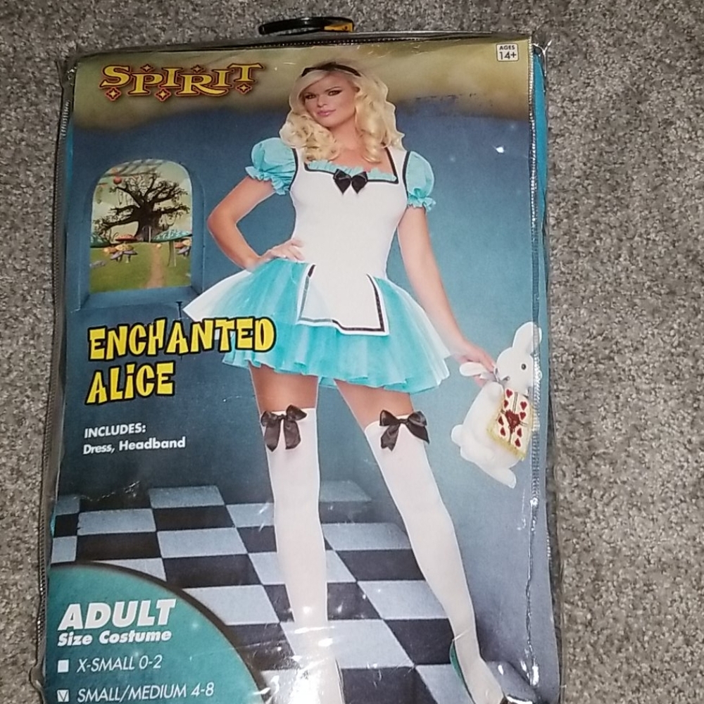 Alice in wonderland costume
